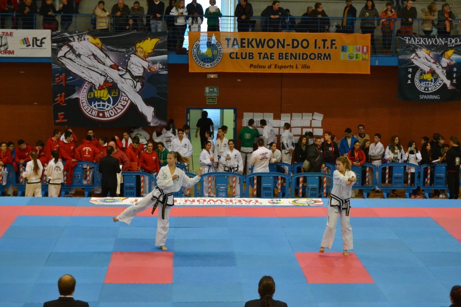 Copa Benidorm 06-12-14 (7).jpg